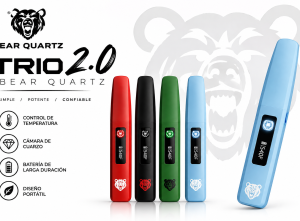 BEAR QUARTZ TRIO 2.0 (DABBER)